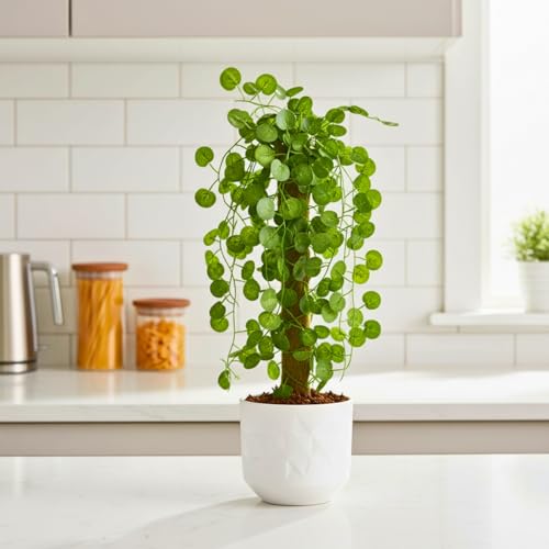 Image of fancymart Artificial Green Leaf Hanging Creeper on Moss Stick (Without Pot) - 60 cm Tall Hanging Creeper Plant for Indoor Home, Office, Restaurant & Cafe Decoration