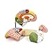 Teaching Model Tools,2X Life-Size Human Brain Anatomy Model with Labels 4-Parts for Learning Science Classroom Study Display Medical Model,9 Colors to Identify Brain Functions for