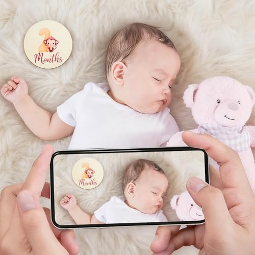 Image of Baby Monthly Milestone Signs - 13 Pack Wooden Baby Milestone Cards for 1-12 Months, Newborn Photography Props with Hello World Discs, Gender Neutral Baby Announcement for Boy Girl Age Shower Gifts