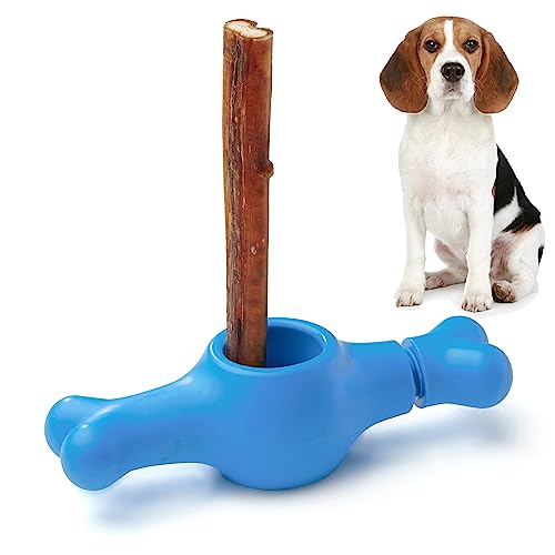 Top 10 Best Bully Stick Holders for your Pup (2022) Mia The Pintzu