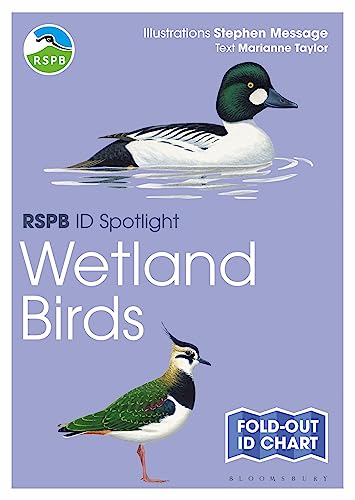 RSPB ID Spotlight - Wetland Birds