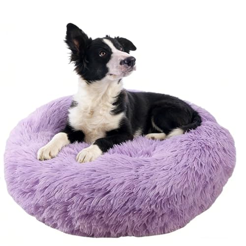 jiuzcare Cuccia per Cani e Gatti Interno Cuscino Pelosa Diametro di 60 cm Cuccia Morbida per Cani e Gatti di Piccola Taglia Media, Viola