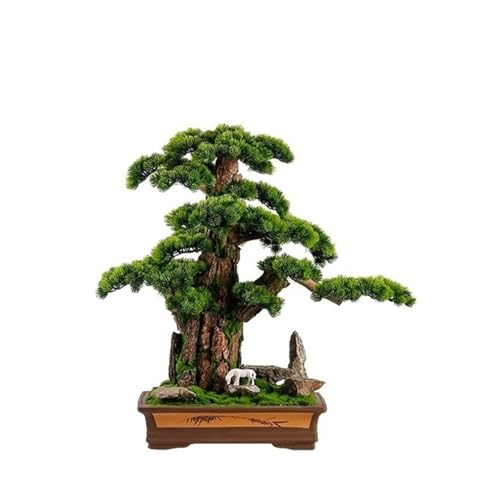 ItBXplHA lHA  ~ ̑ tFCN~ Ƃ̑  {I ItBX fXN̑