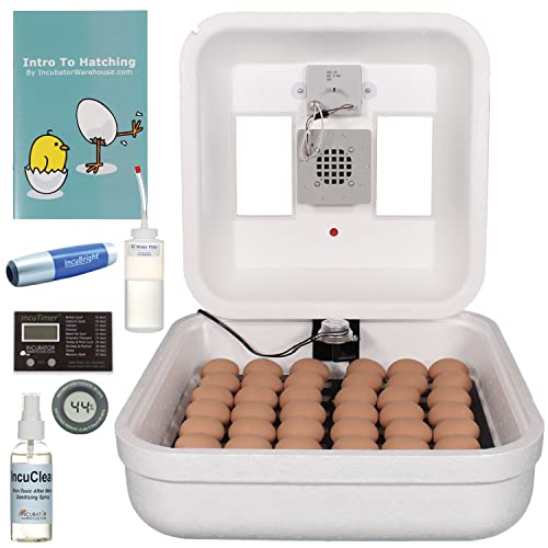 Top 10 Best Incubator For Goose Eggs Reviews & Buying Guide Katynel