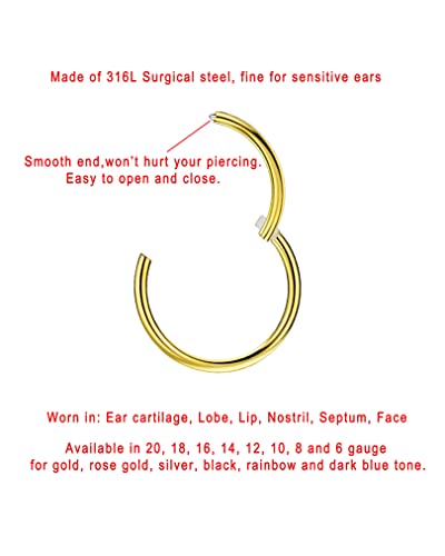 Image of FANSING Men Women 316L Surgical Steel Hinged Nose Rings Hoop for Nostril Septum Cartilage Helix Daith Tragus Rook Conch Lip Ear Lobe Piercings