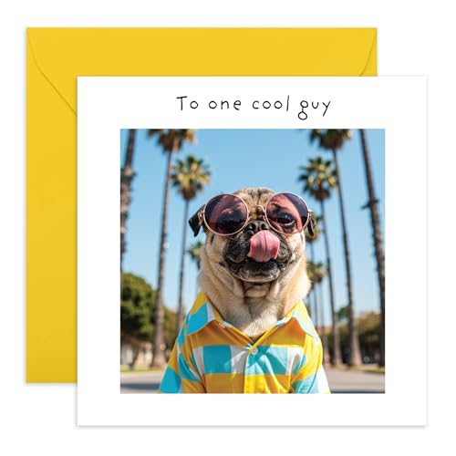 CENTRAL 23 ʔo[Xf[J[h - uTo One Cool Guyv - ނƗFBAZ̕v̂߂ - 킢pOƃV̖؂ƃVc - CG[ - jpO[eBOJ[h - XebJ[t