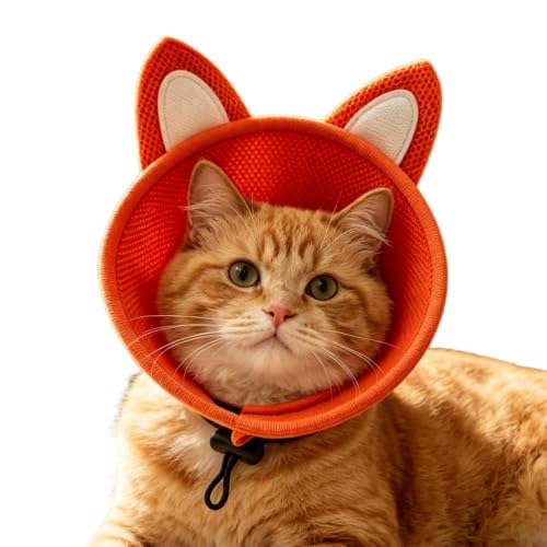 Collar de cono para gato y perro pequeño como protector de heridas en el aseo 2