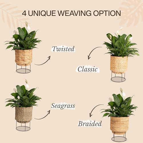 Neergreve Set Of 2 Water Hyacinth Planter Pot With Metal Stand Indoor For Plant thumb #5