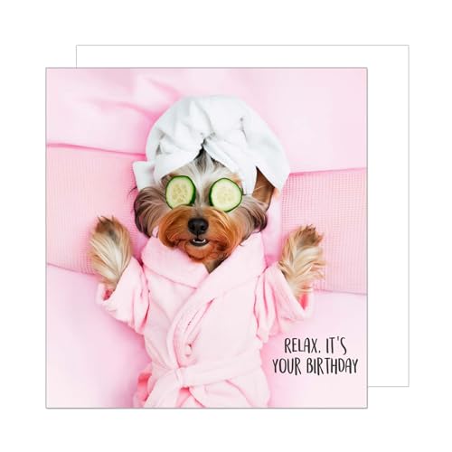 Edition Seidel Premium quadratische Geburtstagskarte mit Umschlag. Glückwunschkarte Happy Birthday Billet Karte mit Spruch für Frau Freundin Relax Hund (GQ294 SW024)