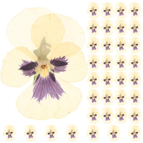 TEHAUX 36pcs Flores Secas Naturales Tricolor para Manualidades miniatura 1