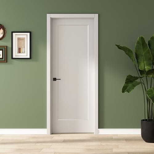 BARNSMITH 30x80 in 1-Panel White Primed Molded Door Slab, Shaker Style Paintable Hollow Core Interior Door Panel, for Pocket, Swing, Sliding Door, Durable and Lightweight, No Assembly Required