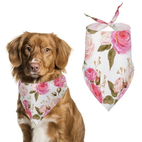 [Y KN   ԕ ybg o_i t^I lN^C E₷ ybgpi  _炩 U  v[g Mtg ybgo_i OpXJ[t  L tȒP @ U Hp K o 