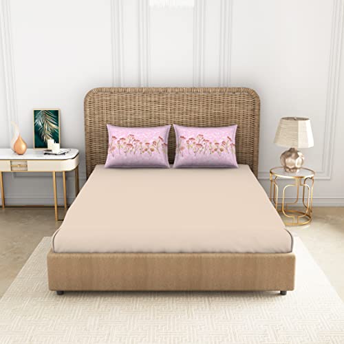 Image of Spaces 100% Cotton Bedsheet Large Anti Viral Soft Feel Skin Safe 144 Tc Beige Bedsheet King Size Bed Cotton