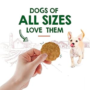 Rileys waffles hen chips for canine w carrots  usa sourced hen canine treats restricted ingredient canine treats dehydrated jerky treats made in usa   cucciolini doodles