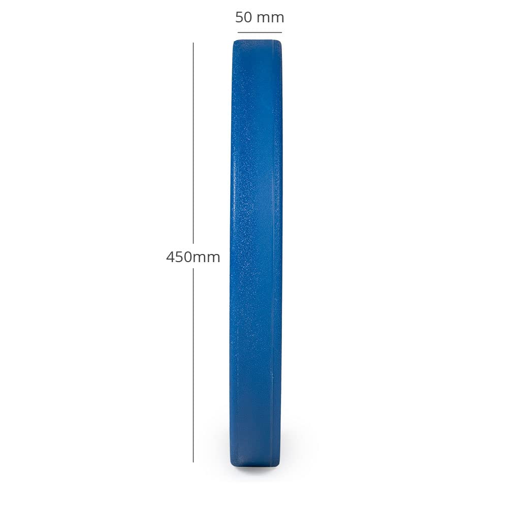 Amazon.co.jp: Titan Fitness 20kg カラーウレタンバンパー