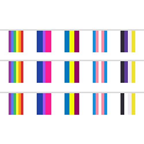 MIXCUT 40 peças de bandeiras de arco-íris, bandeira lésbica gay pendurada com faixas, bandeiras de b