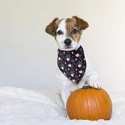 Bandana per cani, Halloween, bandana, bandana