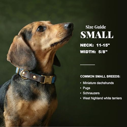 Image of Didog PU Leather Dog Collar for Small Dogs Puppy, Soft Lining, Denim Blue S