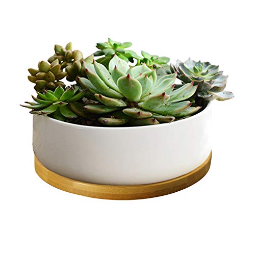 Lanker 6.3 Inch Round White Ceramic Succulent Planter Pot Decorative Cactus Plant Pot