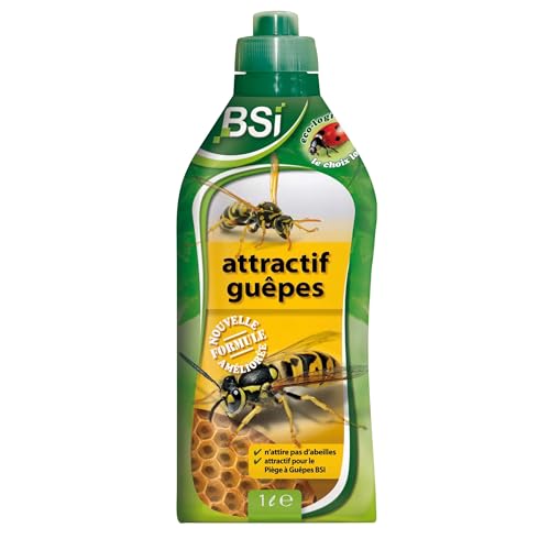 BSI - Attractif Puissant -...