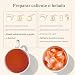 Imagen de VAHDAM Té Chai de Vainilla y Especias