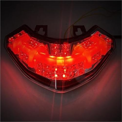 Luz trasera para rutas nocturnas en moto Devil 1200S con intermitentes 4