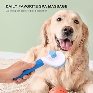 Selfcleaningslickerbrushcatanddogbrushindoorcatanddoggroomingshedbrusheasytoremovelooseundercoatusedforlonghairandshorthaircatanddoghairremovalbrusheswithmassage  Cucciolini Doodles   cucciolini doodles