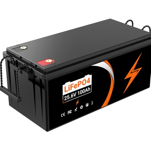 Batería LiFePO4 de 24 V 100 Ah (BMS) batería de Litio de2560 WH de 24 V y 100 Ah para autocaravanas(24V 100Ah Lifepo4)