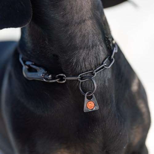 Herm. Sprenger Verstellbare Hundehalskette – Edelstahl, rostfrei, schwarz, 2,0 mm – Mit Sprenger-Haken, langlebig & sicher für Training & Alltag (30 cm)