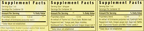 Herbs For Kids Wellness Kit For Kids, 3 Count #TOP3
