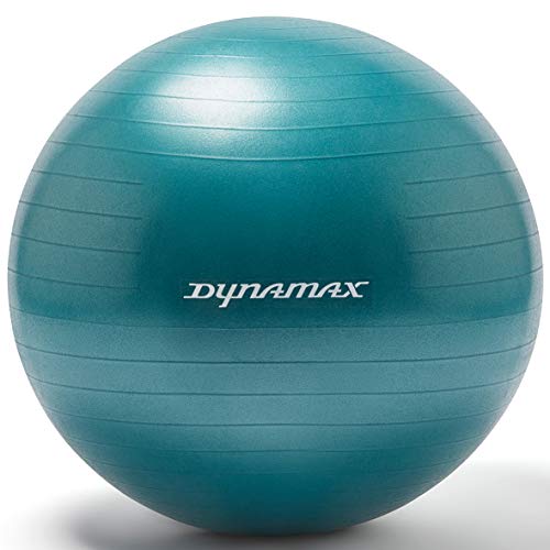 Dynamax Gymball Cover
