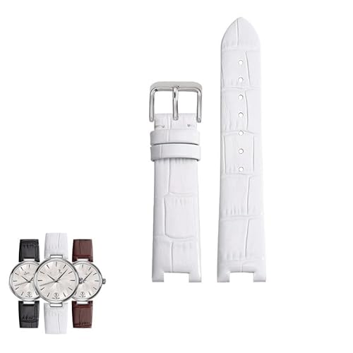 [CFWW] Mido Baroncelli M022207A M022 fB[XEHb`ohp^mb`EHb`Xgbv(Whites a)