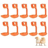 Pollo acquer, 10 pezzi di pollaio pollame tazze d