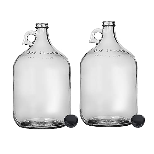 Home Brew Ohio One Gallon Glass Jug with 38mm Polyseal