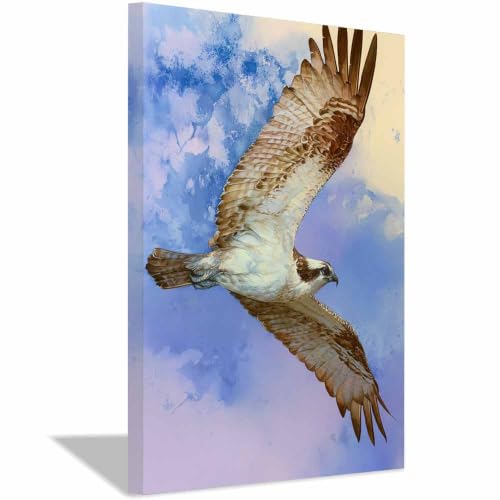 Art mural faucon en vol édition encadrée 70x100cm haute définition