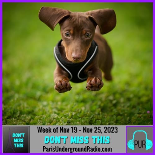 Week of November 19 - November 25, 2023