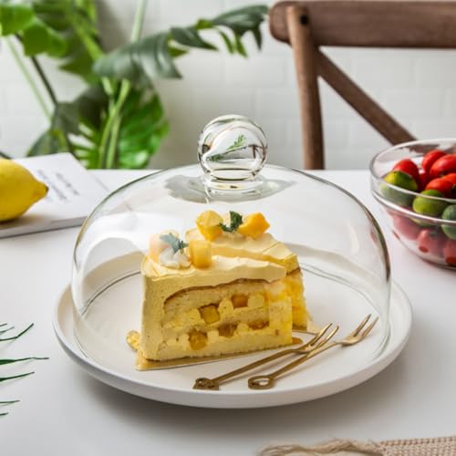 Kuchen Glasglocke Glas Käseglocke Kuchenglocke Tortenplatte Haube Glaskuppel Torten Glashaube Käseplatte Tortenglocke Lebensmittel Abdeckung Deckel für Patisserie Cover (13 x 13 x 11cm)