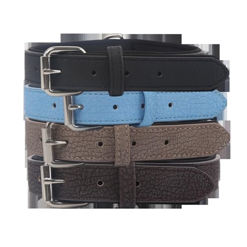 Patapalooza Wasserdichtes Kunstlederhalsband, robust und verstellbar, ideal für Wasseraktivitäten und Training von Haustieren.