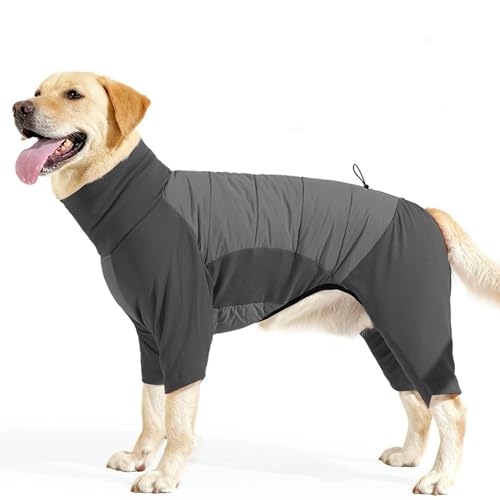 UOSIA t{fB~̃R[g4r^[glbNhWvX[c[Vz[\ȏ_炩t[XWPbg傫Ȍp