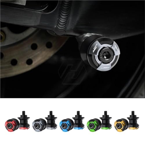 Curseur Bras Oscillant S1000RR Boîtier de Protection Piste