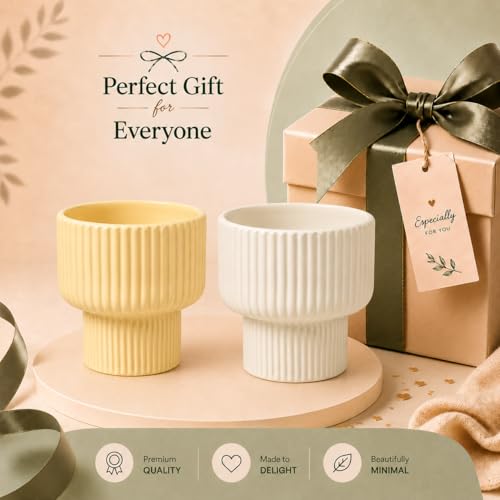 Image of Xtore Chic Ribbed Ceramic Planter Set for Indoor Plants | Modern Decorative Flower Pots for Living Room, Office Desk, Shelf & Tabletop Greenery (Set of 2, Planters only)