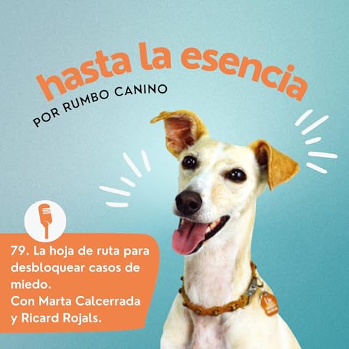 79. Miedos Dic 25 W3 &ndash; La hoja de ruta para desbloquear casos de miedo copertina