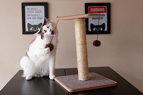 Arranhador Para Gatos com Bolinhas (Preto)
