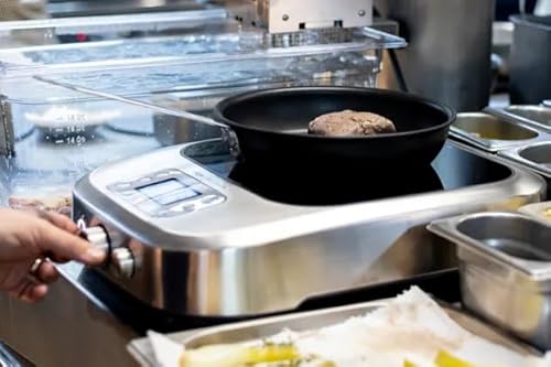 The Control Freak CONTROLFREAK Polyscience Induction Hob, 2400 W, Stainless Steel, Edelstahl, 110(h) x 350(w) x 470(d) mm