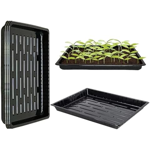 BeGrit Microgreen Seed Starter Grow Trays Shallow Seeding Germination Flats Non Standard 1015 Tray no Holes Plant Sprouter Propogation Tray 10-Pack Cover