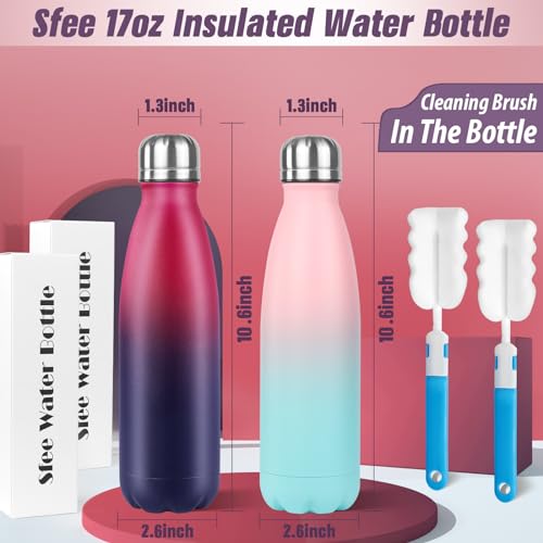 Image of Sfee Insulated Water Bottle, 17 oz Stainless Steel Water Bottles, Double Wall Vacuum Reusable Water Bottles Leak Proof BPA-FREE Sports Bottle Cup Keep Hot&Cold for Running Gym Workout Cycling Kids