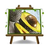 EURO PLANTS VIVAI Avocado Hass Pianta da Frutto Esotico Altezza 150 cm Vaso 15x35 cm