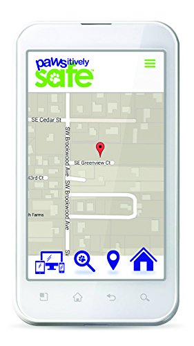 Platinum Pets Pawsitively Safe Pet Finder Dog Tag And Cat Tag, Small, Cat Pink #TOP5