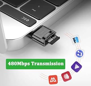 Lecteur de Carte Micro SD/TF, Lecteur de Carte USB C, Lecteur de Carte mémoire USB C vers Micro SD SDHC SDXC, Compatible pour iPhone 15, Windows Lixus, Samsung Galaxy, MacBook, avec Porte-clés