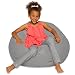 Big Comfy Bean Bag Chair: Posh Large Beanbag Chairs with Removable Cover for Kids, Teens and Adults - Polyester Cloth Puff Sack Lounger Furniture for All Ages - 27 Inch - Solid Gray